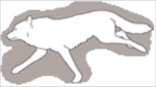 wolf animations~StrykerStream Stables