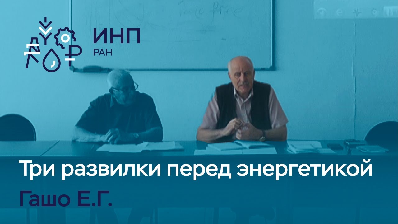 Гашо Е.Г.: Три важных развилки перед российской энергетикой