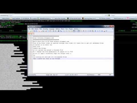 synlink3.mp4