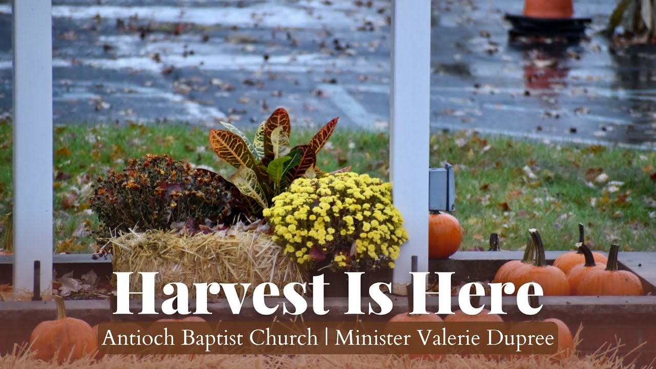 Trust The Process Minister Valerie Dupree YouTube