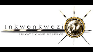 Inkwenkwezi Private Game Reserve, Umtiza Forest Walk, Episode 1