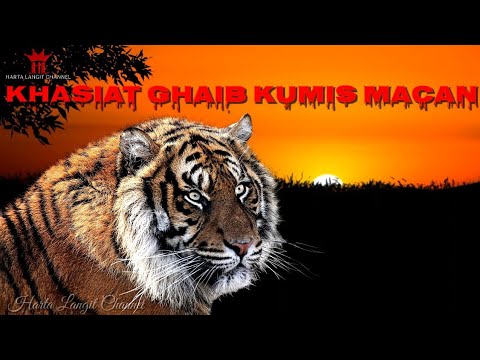 HARGA BELI GIFT SINGA