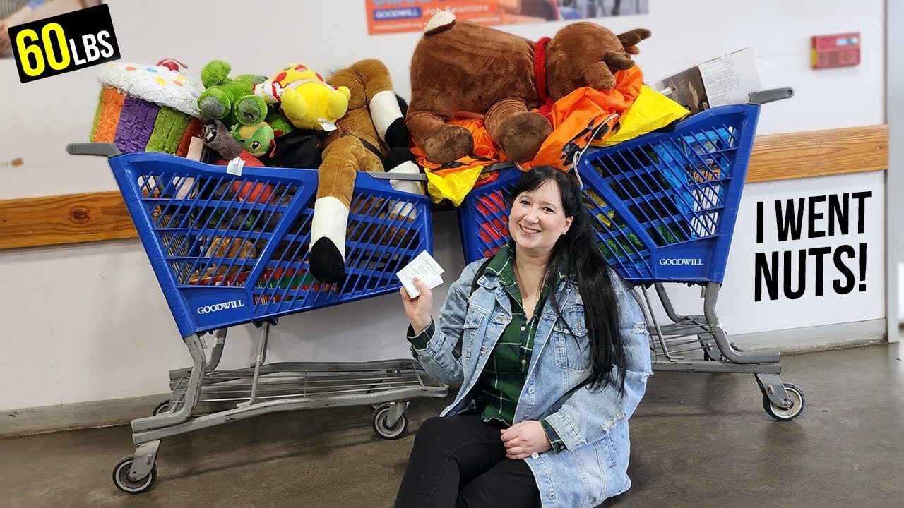 I Had The CRAZIEST GOODWILL TRIP of MY LIFE! ( Thrift With Me at The ...