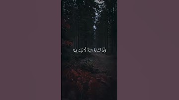 قران كريم ❤️🌿🕊️