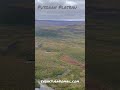 #Putoran Plateau#платопуторана #siberia #hunting