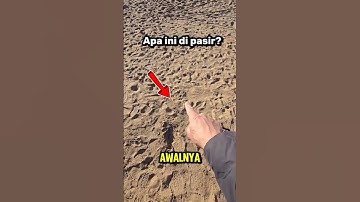 Nemu Harta Karun di Pasir Pantai... Ternyata ISINYA?! 😱 ​#Shorts #PenemuanAneh #Pantai