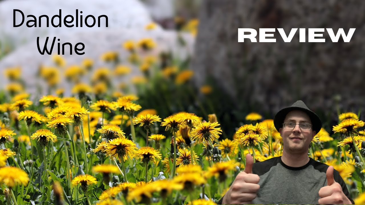 The Essential Summertime Read!! 'Dandelion Wine' Review YouTube