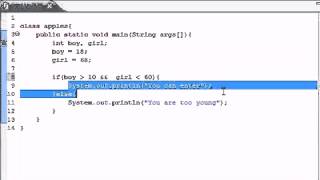 Java beginner Tutorial 11- Logical Operators