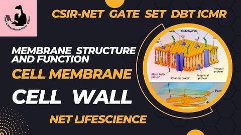 Membrane Structure and Function | Cell Wall 📚  | CSIR-NET |  GATE | SET | DBT | ICMR