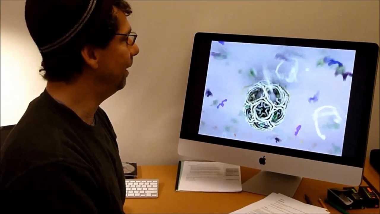 Dinosaur Annex:  Hi-Fi-Sci Project