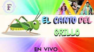 EL CANTO DEL GRILLO 😃| Francisco Orantes🎤 - Música Cristiana Para Niños chords