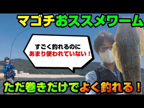 【マゴチ釣り】初心者でもゆっくり巻くだけでマゴチが爆釣！あまり使われていないから釣れる！マゴチおすすめワーム解説