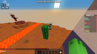 Mineplex Hacking Report