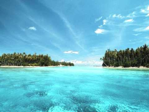 blent ortagil deniz kokusu