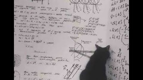 Why do useless math?