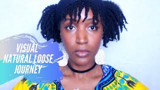 My Visual Natural Loose Hair Journey - Nique