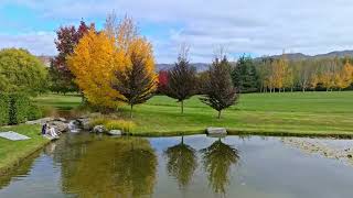 Autumn At Birchwood Queenstown