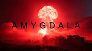 AMYGDALA Short Version 6:05 (4K) 🌍 〰️👂A poetic film on fear and the world's memory