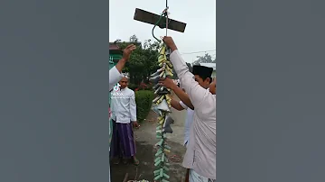 petasan hari raya idul Fitri yang sangat panjang video Tik Tok