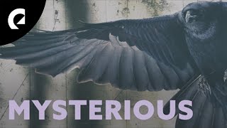 August Wilhelmsson - Endless Possibilities (Royalty Free Music)