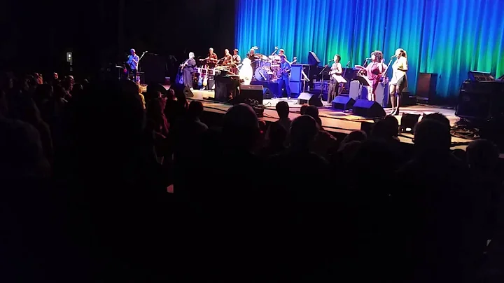 Steely Dan
