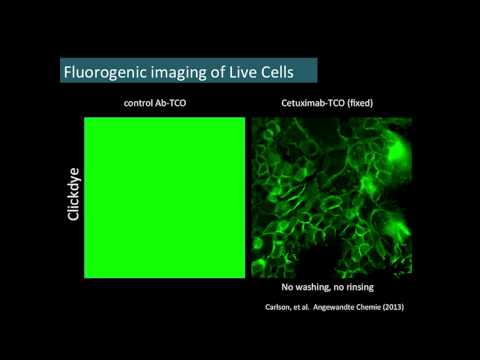 "Click" Chemistry In Vivo - New Tools for Molecular Imaging