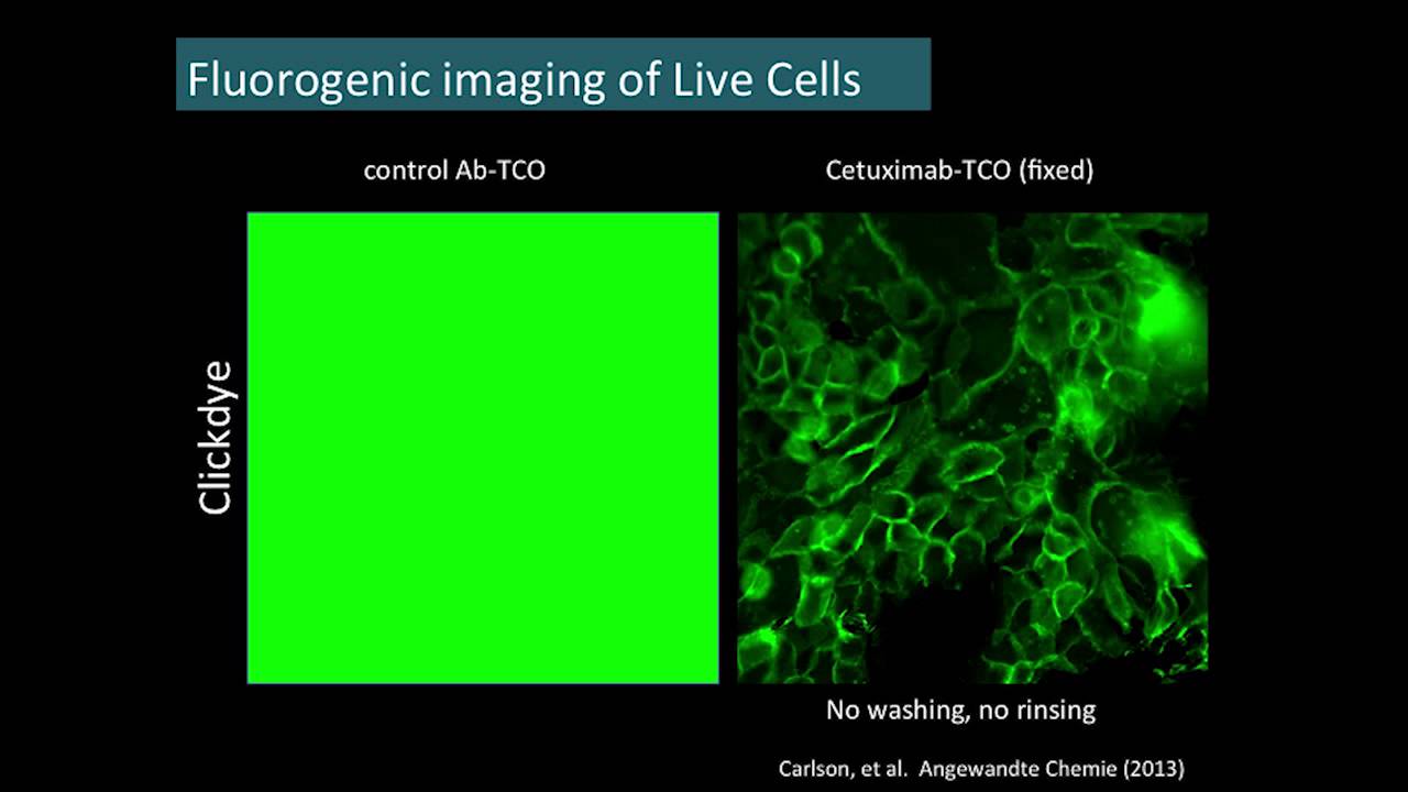 "Click" Chemistry In Vivo - New Tools for Molecular Imaging