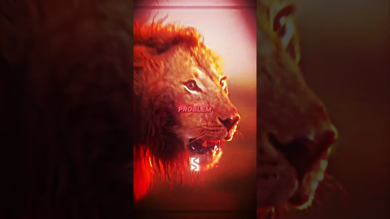 One Lion Fights 20 Hyenas 🦁😨