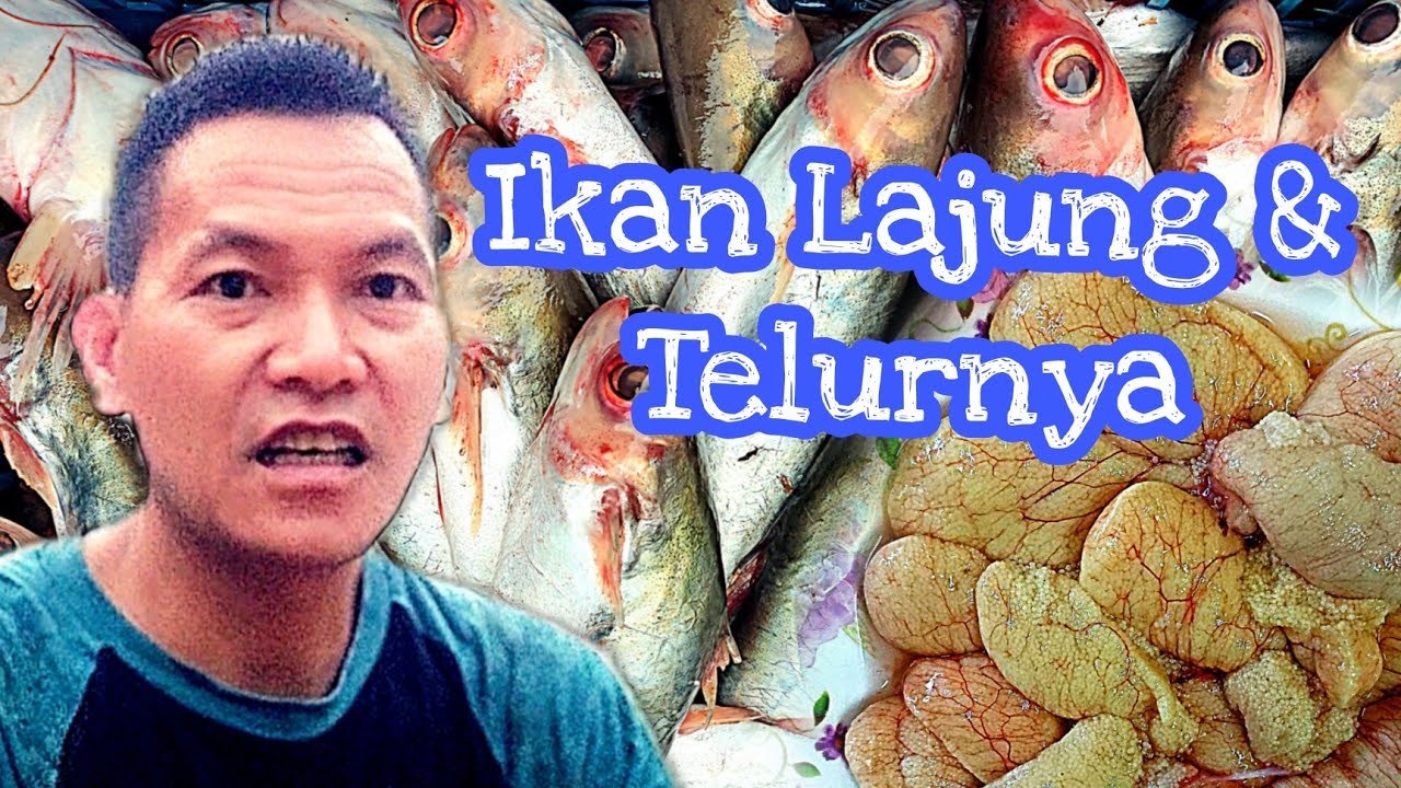 Menjala (episode 48) - YouTube