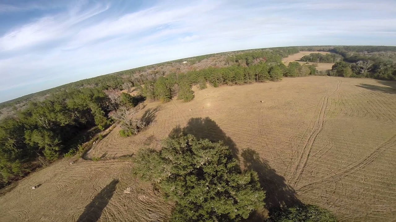 boltrc 180 chasing nutzo