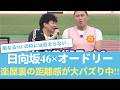【公式お父さん】日向坂46とオードリーの絶妙すぎる距離感がネットで大バズり!!【ひなあい】