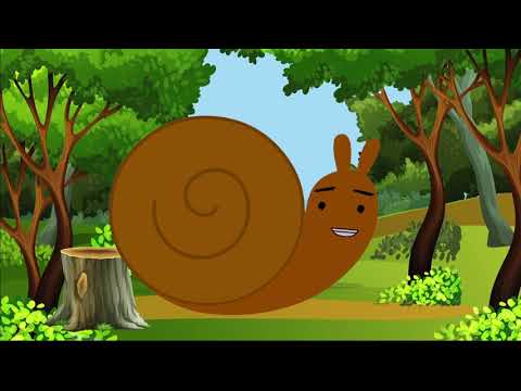 Το σαλιγκάρι - kids songs - παιδικά τραγούδια #kidssongsgr