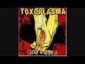 Toxoplasma - Platz an der Sonne
