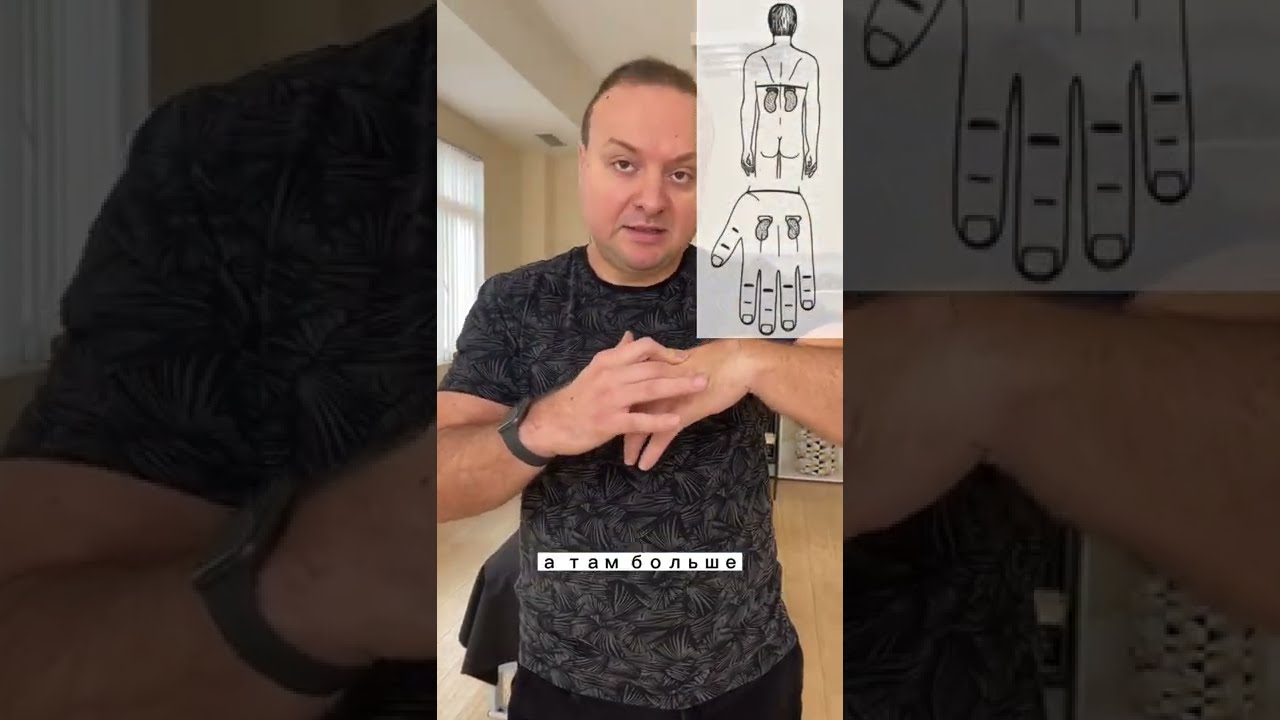 сосудистое заболевание почек