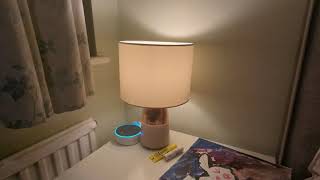 Smart Touchlamps (ESP32 / Robotdyn Dimmer)