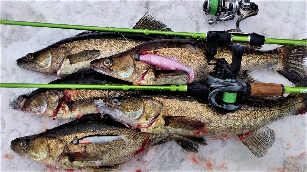 KOSKEN ALAPUOLELTA KUHHOO | LIVELUOTAIN + VIISTO APUNA KALASTUKSESSA!