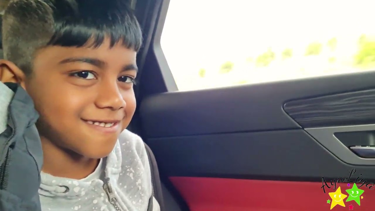 Swiss_↔️_France_4K_