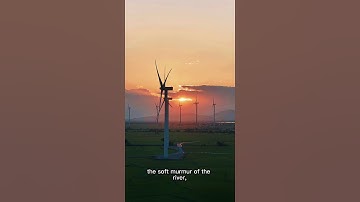 Find Calm in the Chaos 🌊 Motivational Nature Video Relaxing Sounds