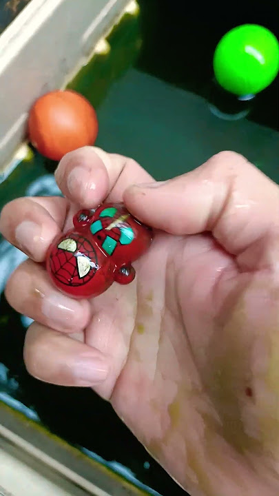 Sigh... Turns out it's the bald Spiderman with smelly armpits 😝 I thought it was a red Betta fish 😩😅