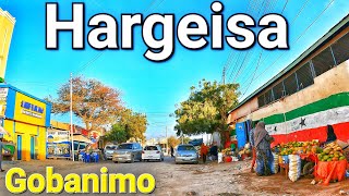 Gobanimo Daruuraha Hargeisa Somaliland