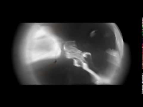 Intro || Toshi