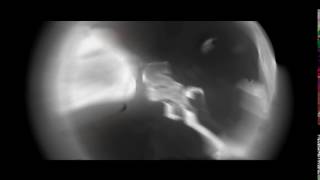 Intro || Toshi