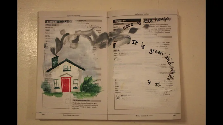 Elizabeth Cresswell - 'The Bluest Eye' stop motion...