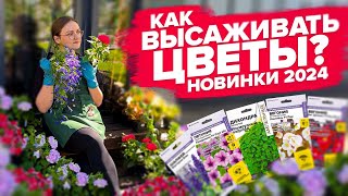 ВАЖНО ЗНАТЬ ПРИ ВЫСАДКЕ ЦВЕТОВ!