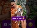 Is My American Bully Puppy Going Blind? 😢🐶|| Street Dog and American Bully