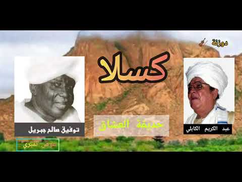 الشاعر توفيق صالح جبريل 