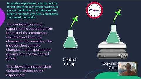Scientific Method - Control Groups