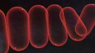 Radiohead - Short Film Dvd 20