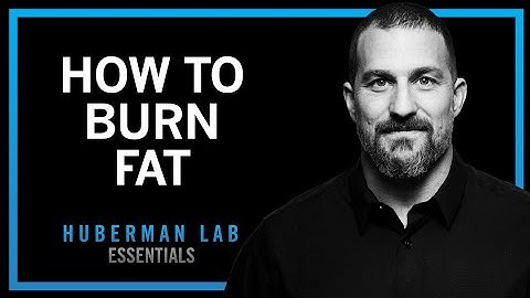 Lose Fat With Science-Based Tools | Huberman Lab Essentials