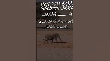 ترتيل يلامس القلوب من سورة الشورى و الذين امنوا و عملوا الصالحات فى روضات الجنات للشيخ محمد الطبلاوي